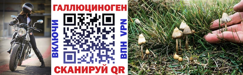 Галлюциногенные грибы прущие грибы Снежинск